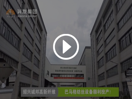 Company promotional film