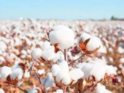 Knowledge of cotton yarn